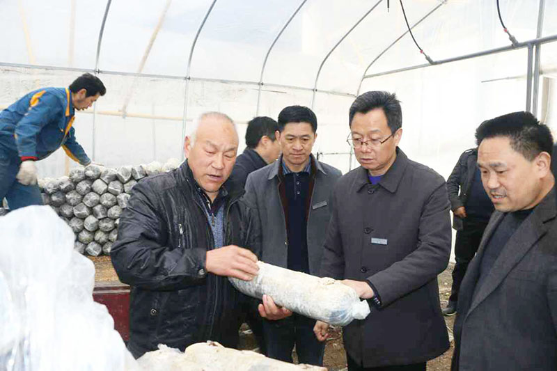 国桦农林